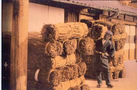 Original glass slide taken by Dard Hunter showing a man stacking bundles of paper fibers