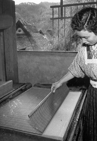 Black and white photo of a woman stacking a freshly pulled sheet of paper onto other freshly pulled sheets. She is focused on the table at her hip. She uses a single hand to pull back the sugeta. The other hand and shoulder are not visible in the picture.