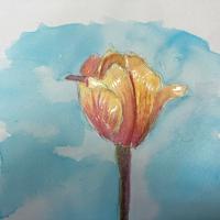 Watercolor Flowers